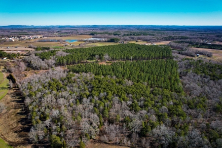Acreage with Mature Pines For Sale - Cabarrus County NC - image 12
