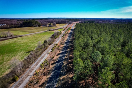 Acreage with Mature Pines For Sale - Cabarrus County NC - image 5