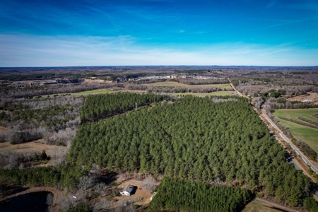 Acreage with Mature Pines For Sale - Cabarrus County NC - image 1