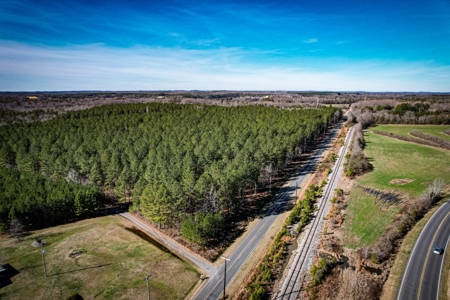 Acreage with Mature Pines For Sale - Cabarrus County NC - image 14