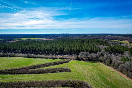 Acreage with Mature Pines For Sale - Cabarrus County NC - image 8
