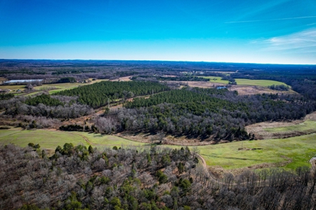 Acreage with Mature Pines For Sale - Cabarrus County NC - image 11