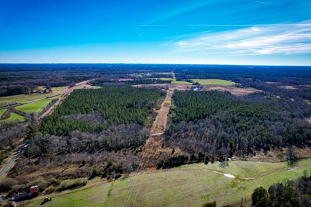 Acreage with Mature Pines For Sale - Cabarrus County NC - image 10