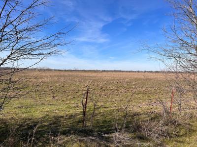 East Texas Land for Sale - image 4