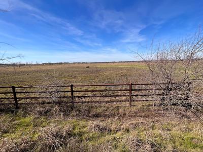 East Texas Land for Sale - image 3