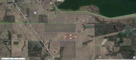 East Texas Land for Sale - image 2