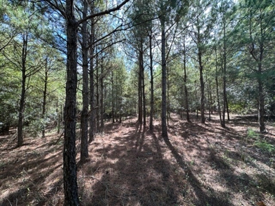 5.5 Acre Lot No Restrictions - image 19