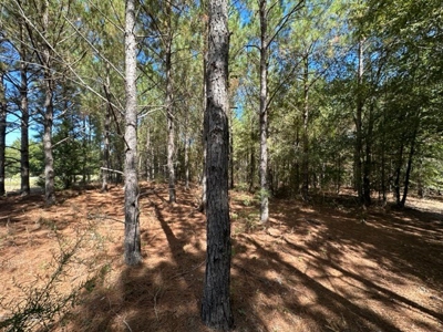 5.5 Acre Lot No Restrictions - image 13