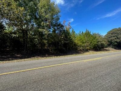 5.5 Acre Lot No Restrictions - image 6