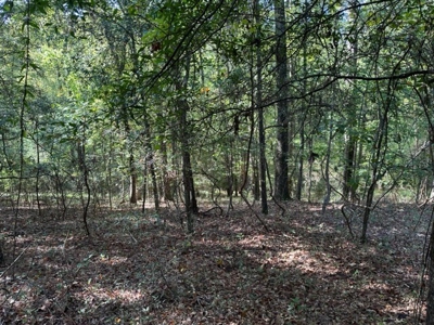 5.5 Acre Lot No Restrictions - image 2