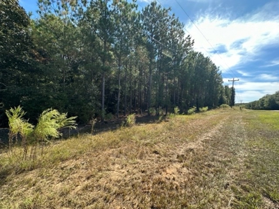 5.5 Acre Lot No Restrictions - image 11