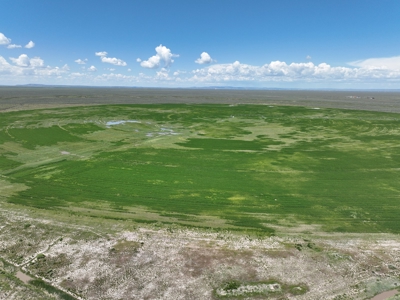 Eastern Oregon Harney Farm - image 22