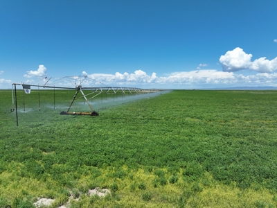 Eastern Oregon Harney Farm - image 16