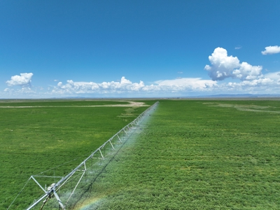 Eastern Oregon Harney Farm - image 19