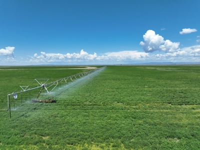 Eastern Oregon Harney Farm - image 18