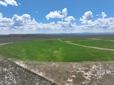 Eastern Oregon Harney Farm - image 13