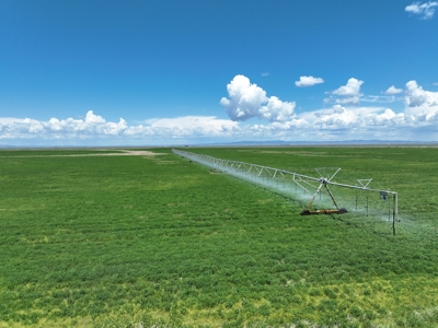 Eastern Oregon Harney Farm - image 17