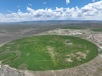 Eastern Oregon Harney Farm - image 9