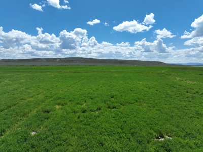 Eastern Oregon Harney Farm - image 15