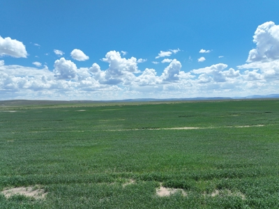 Eastern Oregon Harney Farm - image 4