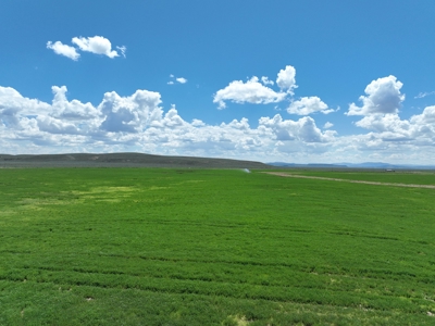 Eastern Oregon Harney Farm - image 14