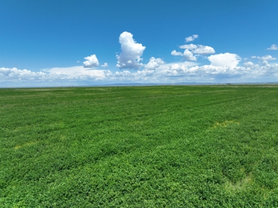 Eastern Oregon Harney Farm - image 23