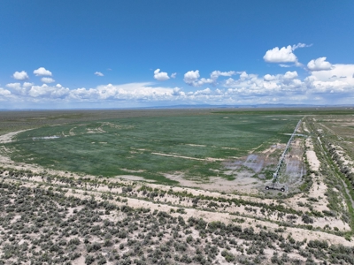 Eastern Oregon Harney Farm - image 7