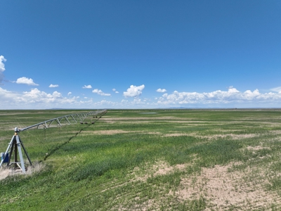 Eastern Oregon Harney Farm - image 21