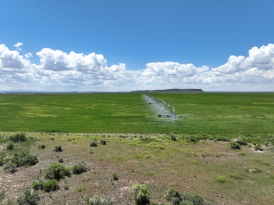 Eastern Oregon Harney Farm - image 25