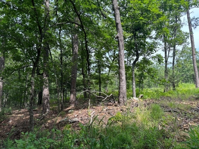 Land for Sale- Wilburton, Oklahoma - image 12