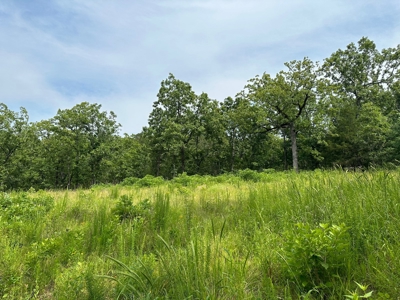 Land for Sale- Wilburton, Oklahoma - image 11