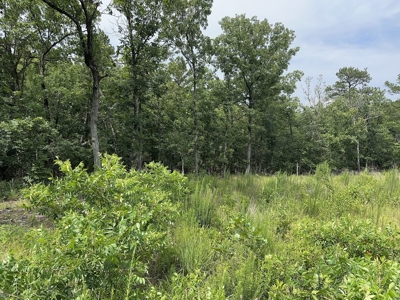 Land for Sale- Wilburton, Oklahoma - image 7