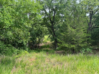 Land for Sale- Wilburton, Oklahoma - image 15