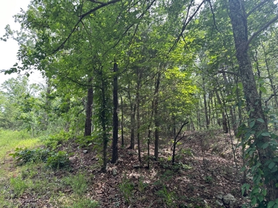 Land for Sale- Wilburton, Oklahoma - image 13