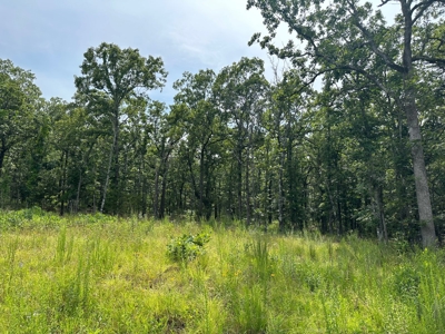 Land for Sale- Wilburton, Oklahoma - image 6
