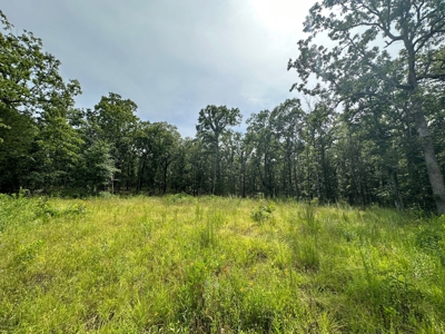 Land for Sale- Wilburton, Oklahoma - image 5