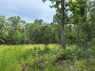 Land for Sale- Wilburton, Oklahoma - image 10