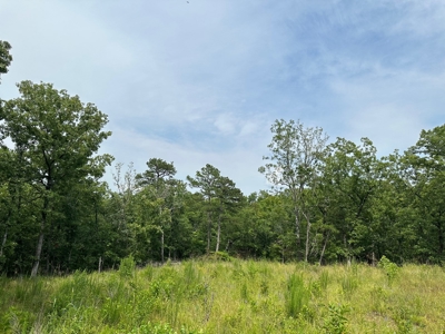 Land for Sale- Wilburton, Oklahoma - image 9