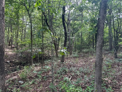 Land for Sale- Wilburton, Oklahoma - image 14