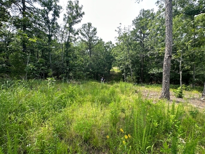 Land for Sale- Wilburton, Oklahoma - image 3