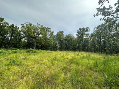 Land for Sale- Wilburton, Oklahoma - image 8