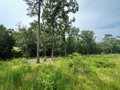 Land for Sale- Wilburton, Oklahoma - image 4