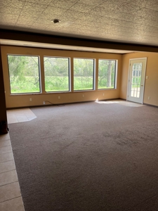 Country Home near Piedmont MO - image 19