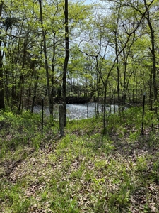 Country Home near Piedmont MO - image 3