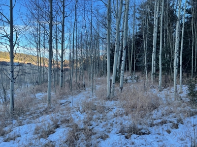 Land Auction in Colorado - image 9