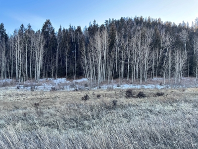 Land Auction in Colorado - image 1