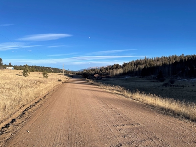 Land Auction in Colorado - image 13