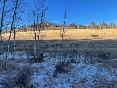 Land Auction in Colorado - image 7