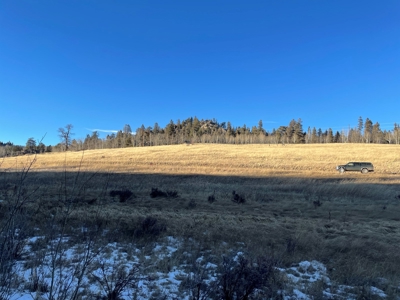 Land Auction in Colorado - image 12