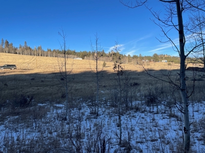 Land Auction in Colorado - image 8